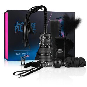 Secret Pleasure Chest - pokročilá BDSM sada - 14 dielov (čierna)