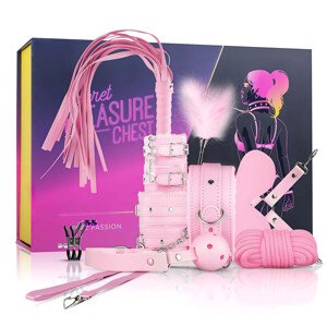 Secret Pleasure Chest - pokročilý BDSM set - 14 dielny (ružový)