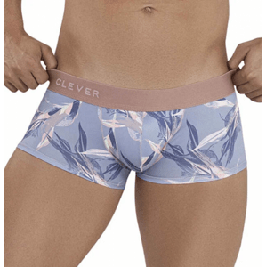 Clever boxerky Arcane Latin, S